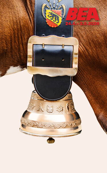 Sachentransport-Anhänger Sachentransport-Anhänger